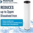 Pentair Pentek RFFE20-BB Big Blue Water Filter, 20-Inch, Whole House Radial Flow Iron Reduction Replacement Cartridge, 20" x 4.5", White