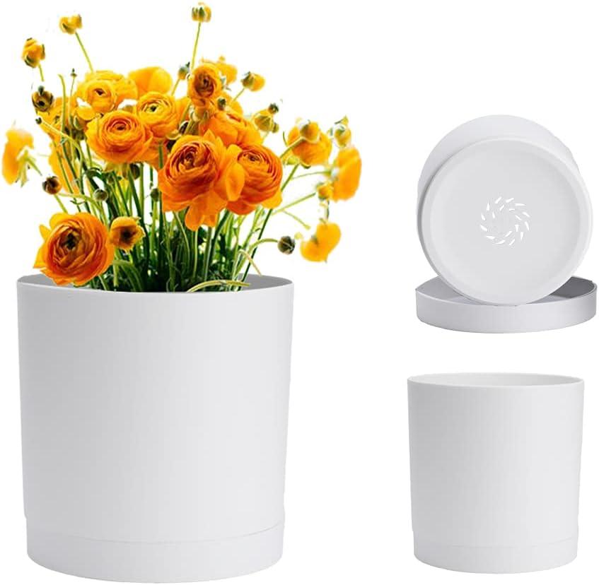 6 Inch White Planter for Plants with Drainage Hole and Seamless Saucers