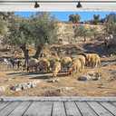 BELECO 7x5ft Fabric Old City Jerusalem Backdrop Sheep Grazing on Mount of Olives, Jerusalem Background Israel Theme Party Decorations Religious Belief Church Decor Photo Booth Studio Props