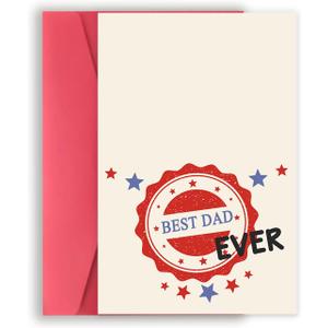 10 x Funny Birthday Card Gifts & Decorations for Dad Men (FY247)