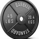 Synergee Standard Metal Weight Plates with 2 Opening for Bodybuilding, Olympic & Power Lifting Workouts. Metal Weight Plates Sold in Singles, Pairs & Sets 45 lbs