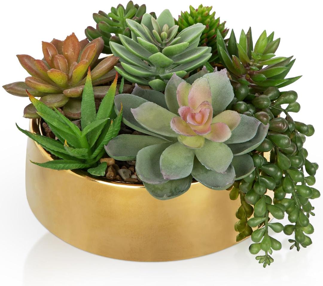 DILATATA Artificial Succulent Plants in Pot 5.5 Inch Fake Succulents Arrangement Potted Plant in Gold Ceramic Planter Bowl for Home Office Desk Shelf Living Room Bedroom Bathroom Decor