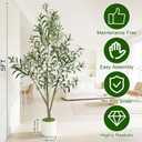Timoo Faux Olive Tree Olive Trees Artificial Indoor with White Planter (5 FT)