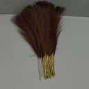 Dark Brown Pampas Grass Decor, 30 Pcs 17" Faux Pampas Grass Short Decor, Pompas Grass Flower Arrangement and Vase Filler for Boho Home Wedding Decoration