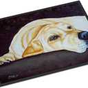 Caroline's Treasures AMB1072JMAT Naptime Yellow Labrador Doormat 24x36 Front Door Mat Indoor Outdoor Rugs for Entryway, Non Slip Washable Low Pile, 24H X 36W