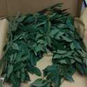 Ling's Moment 5.8ft Rosa Banksiae Artificial Garland, Real Touch Silk Laurel Leaf Vine for Wedding Arch, Table Centerpiece & Event Decor, Faux Greenery Filler for Elegant Arrangements