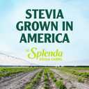SPLENDA Stevia Zero Calorie Sweetener, Sugar Substitute Packets, 400 Count (Pack of 1)