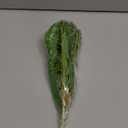 2 PCS Artificial Calla Lily Silk Leaves Plant Fake Bonsai Flowers Greenery Plants for Indoor Outdoor Home Office Bedroom Table Centerpieces Party Decoration