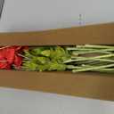 ATFL Red Poppy Flowers Artificia Fake Faux Silk Poppies Bulk with Stems red poppies, 12-pack 23.5", realistic artificial silk poppy flowers, silk stems perfect for memorial day home wedding decor