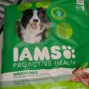 IAMS Proactive Health Adult Minichunks Premium Dry Dog Food, Adult Dog Food Dry Recipe, 30 lb. Bag (EXP 12/21/25)