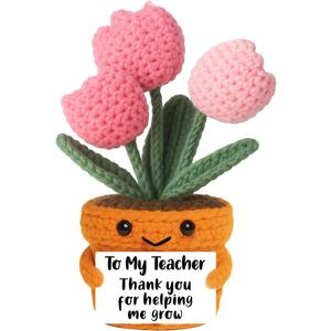 Teacher Appreciation Gifts, Mini Crochet Tulip Flowers with Thank You Card, Teachers Gifts for Women, Gift for Birthday Graduation Back to School Thanksgiving Halloween Christmas, Desk Decor