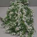 Lyrow 6 Pieces Artificial Baby Breath Flower Vines 5.9ft Faux Hanging Gypsophila Greenery Garland Vines Fake Bulk Baby Breath Garland for Wedding Party Table Home Backdrop Wall Decor (White)