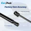 Hood Lift Support Struts for 2010-2019 Ford Taurus & 2013-2019 Police Interceptor, Replace OEM 6560 SG204069, 2 Pack ﻿