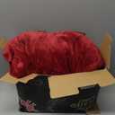 COZYTY Heated Blanket Electric Blanket Queen Size, Super Soft Cozy Upgraded Flannel Fast Heating Blanket Dual Control with 5 Heating Levels & 10 Hours Auto Off, Machine Washable, 84" x 90", Burgundy