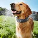 GPS Wireless Dog Fence with 2K Camera & Voice Training & GPS Tracker, Dog Collar with App Waterproof Rechargeable Adjustable for Large Medium Dogs