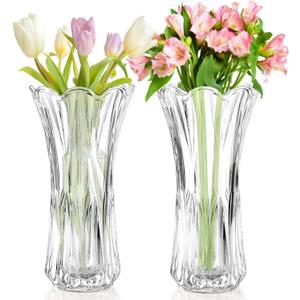 2-Pack Glass Flower Vases, 9.5 Inch Thickened Clear, Phoenix Tail Shape Decorative Modern Plant Vases for Centerpieces, Home Decor, Wedding, Party, Office