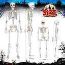 SpringFlower 5.4Ft & 3Ft Halloween Skeleton,Full Body Posable Skeletons Human Plastic Bones with Movable Joints, Halloween Decoration Indoor Outdoor Yard Lawn Garden Party Dcor
