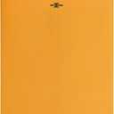 Amazon Basics Clasp Kraft Envelopes for Documents, Gummed Mailing Envelope, 9" x 12", 100-Pack