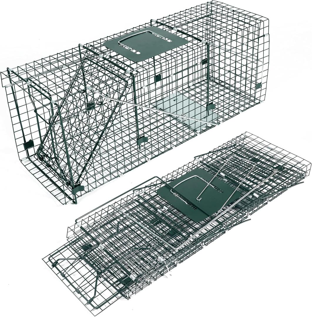HOMESTEAD 32 Inch Heavy Duty Collapsible Live Animal Trap - Humane Catch and Release Trap for Squirrels, Stray Cats, Raccoons, Rabbits, Foldable Steel Trap, Space-Saving (32 Inch)