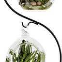 13 Inch Unique Ornament Display Stand, Black Metal Ornament Hanger Stand, S-type Two Hooks for Hanging Glass Globe(5inch), Christmas Ornament, Air Plant Terrarium, Witch Ball, Home Wedding Decoration (1, 13.8x5"Black)