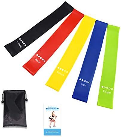 ezlive Resistance Bands for Working Out, Men and Women Exercise Bands Set, Strength Training, Yoga & Pilates, Recovery Bands for Physical Therapy, with Carry Bag - Set of 5