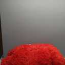 DETUM Red Rug 6x9 Feet - Fluffy Red Area Rugs for Bedroom Shaggy 6' X 9' Living Room Rug Soft Rugs for Kids Room Non-Slip Nursery Office Dorm Washable Carpets Home Decor