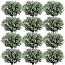 Janinka Mixed Eucalyptus Leaves Stems Bulk with White Seeds Artificial Silver Dollar Leaves Sprays Faux Oval for Wreath Garland Floral Bouquets Arrangement Wedding Greenery Decoration(60 Pcs)