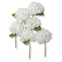 Mooncci 12.6'' White Hydrangea Artificial Flowers, 6Pcs Real Touch Latex Fake Hydrangeas with Short Stems & Leaves for Home Decoration, Party Floral Arrangements, Wedding Bouquet, Table Centerpieces