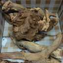 majoywoo Natural Small Coral Driftwood for Aquarium Decor Fish Tank Decorations, Assorted Driftwood Branch 4.5-7.5" 5 Pcs, Reptile Decor