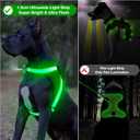 ChalkLit Light Up Dog Harness, No Pull Led Dog Harness Glow-in-The-Dark for Night Walking, USB Rechargeable Lighted Safety Vest for Medium Large Dogs, Adjustable Soft Mesh Fully Illuminated(Green, XL)