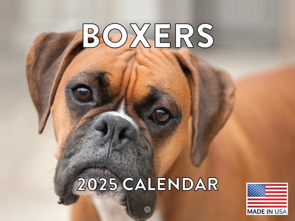 Boxer Calendar 2025 Boxer Dog Gifts Monthly Wall Calender 12 Month | American Made In The USA