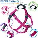 2 Hounds Design Freedom No Pull Dog Harness, Adjustable Harness and Leash Set, Easy Walking & Comfortable Control, Fits Small, Medium & Large Dogs, Solid Colors, Made in USA, 1" MD, Raspberry