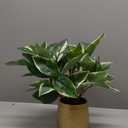 Oairse Articicial Plants Indoor Small Fake Plants in Pots Faux Pothos Nâ€˜ Joy Potted Plant Fake Indoor Plants with Gold Pots for Bathroom Living Room Office Desk Shelves