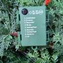 Cinnvoice Christmas 3ft 4ft 5ft Potted Pre-lit Twinkle LED Cypress Norfolk Artificial Christmas Tree, Faux Potted Plants with a Woven Basket Base for Front Porch Indoor Outdoor Decor(Cypress Tree)