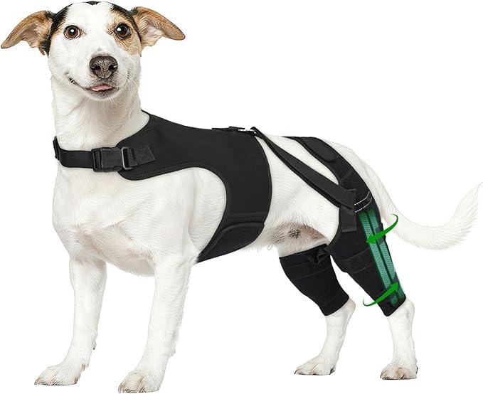 Dog Brace, size midium