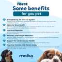 NutriForce 44-in-1 Multivitamin for Dogs – Daily Supplement for Hip & Joint, Skin & Coat, Immune, Digestion, Energy & Heart – 120 Chewable Tablets – Liver Flavor – All Breeds & Ages – Vet Recommended BBD: 12/24/26