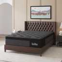 Queen Mattress, 10 Inch Hybrid Mattresses Black with Gel Memory Foam and Individually Pocket Innerspring Euro Top Medium Firm for Motion Isolation, Edge Support, 100 Night Trial