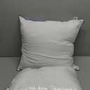 18x18 Pillow Inserts Set of 2, Hypoallergenic Soft Machine Washable Fluffy Virgin Microfiber Premium Throw Pillow Stuffer, Valentines Decorative Pillow Insert for Couch, Sofa - White