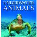 Snapshot Picture Library Underwater Animals