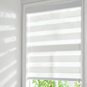 Zebra Roller Shades, Cordless Zebra Blinds for Window, Window Blinds for Indoor, Light Control Light Filtering for Day and Night, 31''W X 72''H, White
