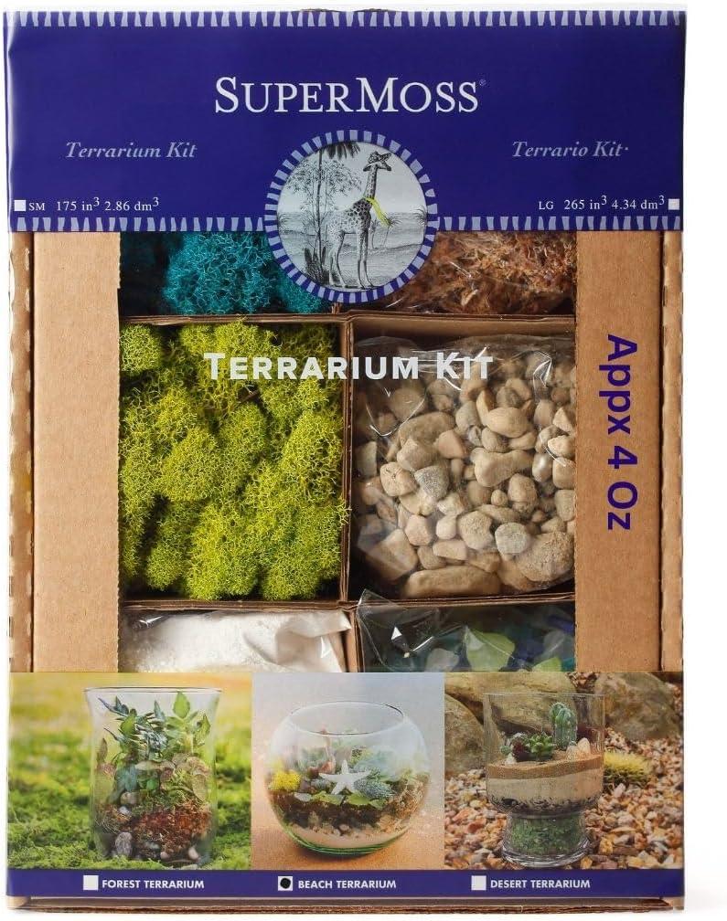 SuperMoss (90422) Beach Terrarium DIY Kit  Create Stunning Nature-Inspired Mini Gardens  Perfect for Home Decor, Office Gifts, and Plant Lovers, Appx 4 Oz