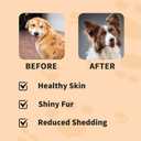 Skin and Coat Chews for Dogs - Itchy Skins Dog Supplement Support Hot Spots Comfort and Shedding Allergy Joint Health with Omega 3 Fish Oil, EPA & DHA Fatty Acids, Bacon Flavor 100 Count Softs Treats