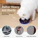 Sted Ceramic Slow Feeder Dog Bowl for Medium Large Breed, Puzzle Dog Food Bowl with Silicone Base, Maze Blue (Large-9.5 inches)