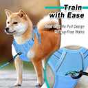 BARKBAY Dog Harness No Pull Mesh for Large Dogs - Adjustable, Reflective, Comfortable, No Choke, Heavy-Duty - Perfect for Outdoor Training, Walking, and Hiking-Strong & Durable- XL & Blue Mesh