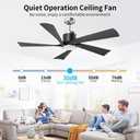TXCSLY 52'' Ceiling Fans with Lights, Modern Ceiling Fan with Remote Control, Indoor Outdoor Ceiling Fan for Living Room,Bedroom 5 Blade 3 Color Tempearture (Black)