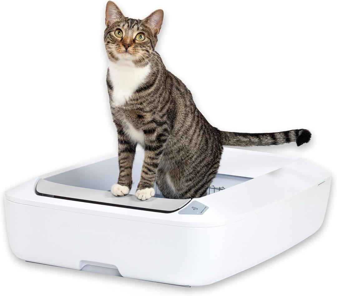 PetSafe ScoopFree Crystal Plus Automatic Self-Cleaning Cat Litter Box System  Not Enclosed  Advanced Odor Control  Includes 1 Disposable Crystal Litter Tray  White (PAL00-18016)