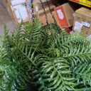 Artificial Hanging Plants with Basket 2PCS Fake Boston Fern Baskets Outdoor
