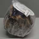 OXO Good Grips 5.0 Qt POP Large Cookie Jar - Airtight Food Storage- for Cookies and More