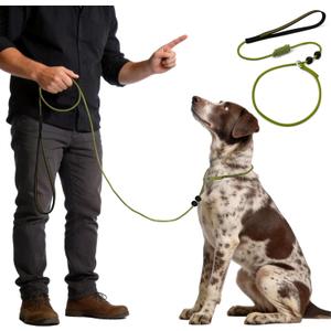 Dog Leash Slip Lead 6FT, Dog Training Leash,Trainer Rope Designed for DogTraining and NGKC Competition, 2-in-1 Training Lead & Collar, Suitable All Dog Training(Dark Green)