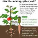 Plant Watering Devices 6 Pack Terracotta Vacation Plant Waterer Wine Bottle Watering Stakes Slow Release Plant Watering Spikes Self Watering Devices for Indoor Outdoor Plants
